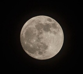 20150403-IMG_5870-2