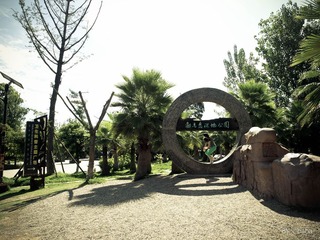 P1010049