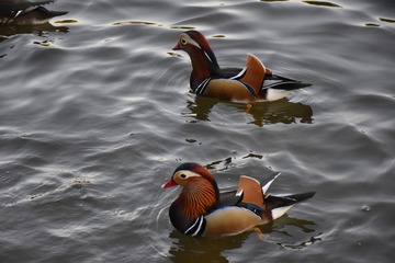 2011年4月12日