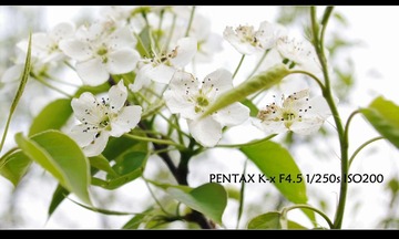 2011年4月12日