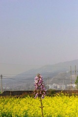 2011年4月12日