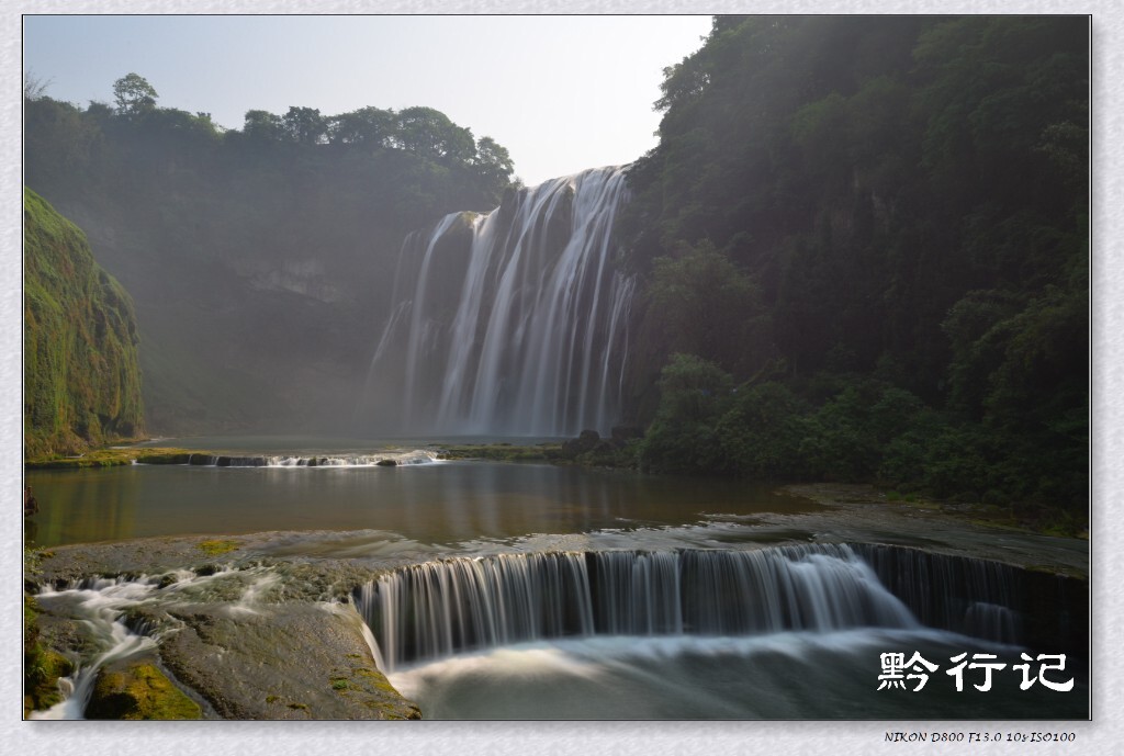 黄果树