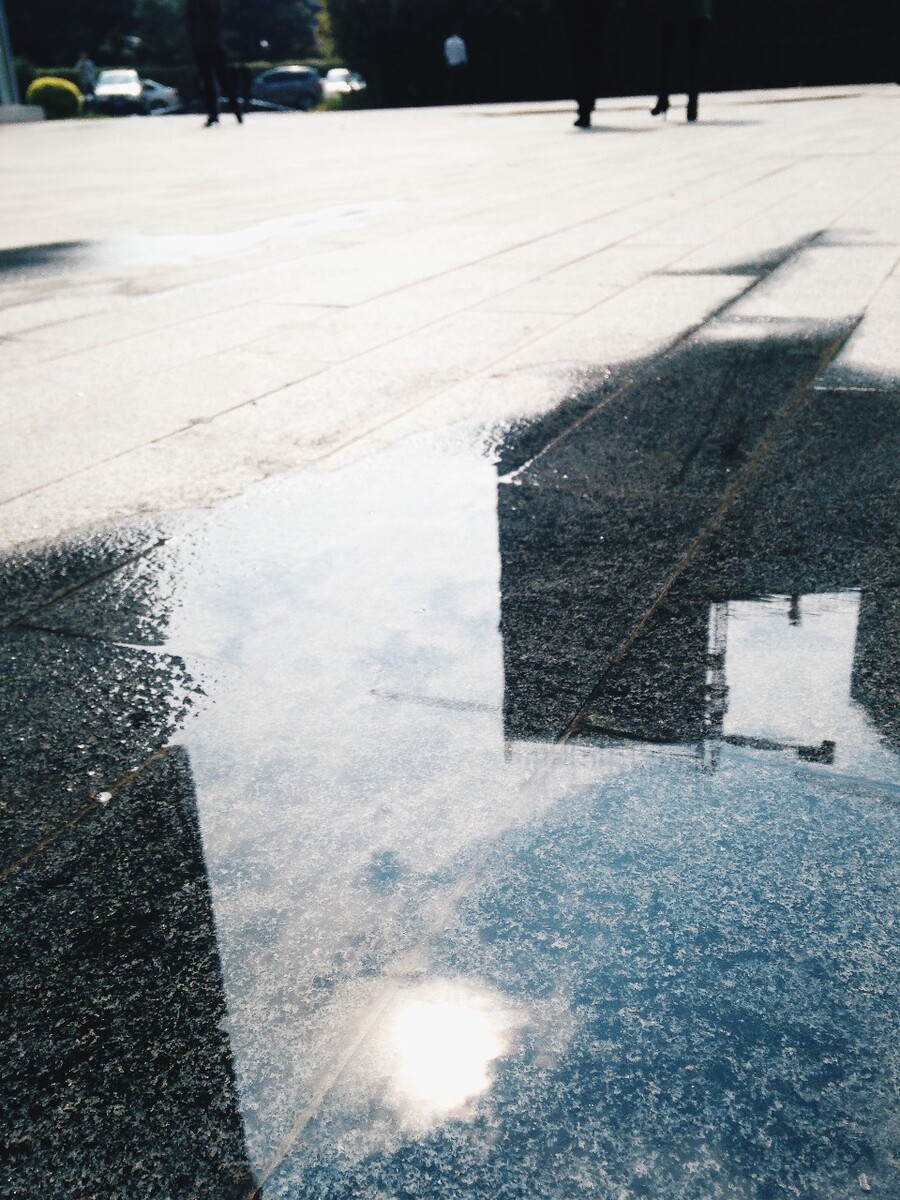 雨后的广场,总会找到一些让人感觉兴趣的东西。