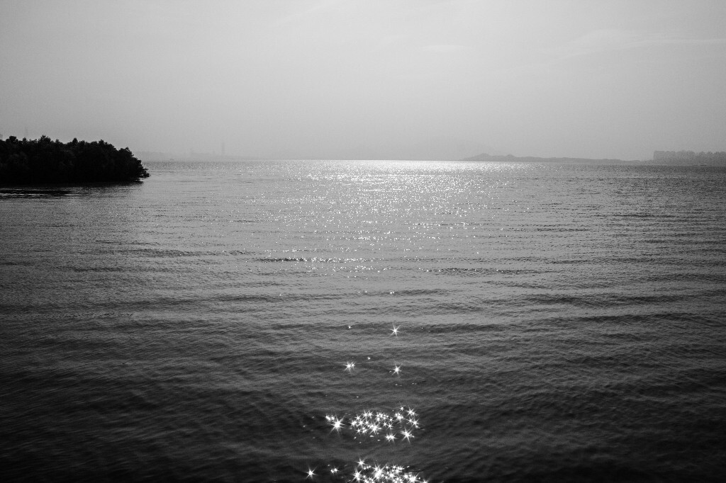 海里的波光