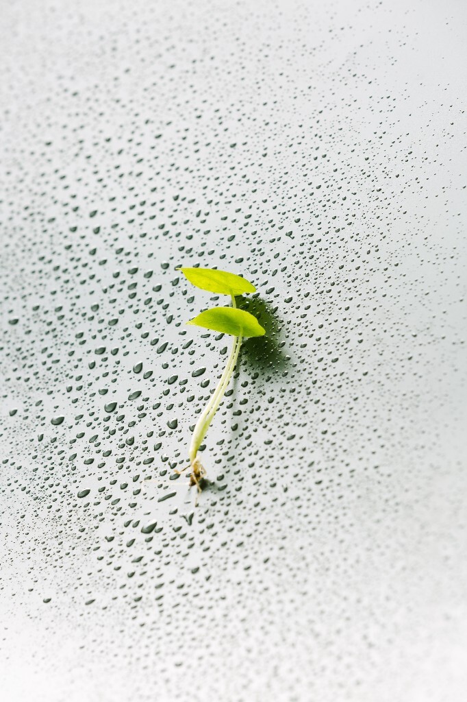 洗个澡先