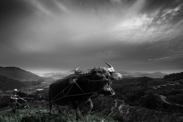 _MG_9092-ys.jpg