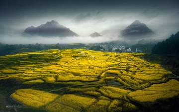 春雨后的家朋