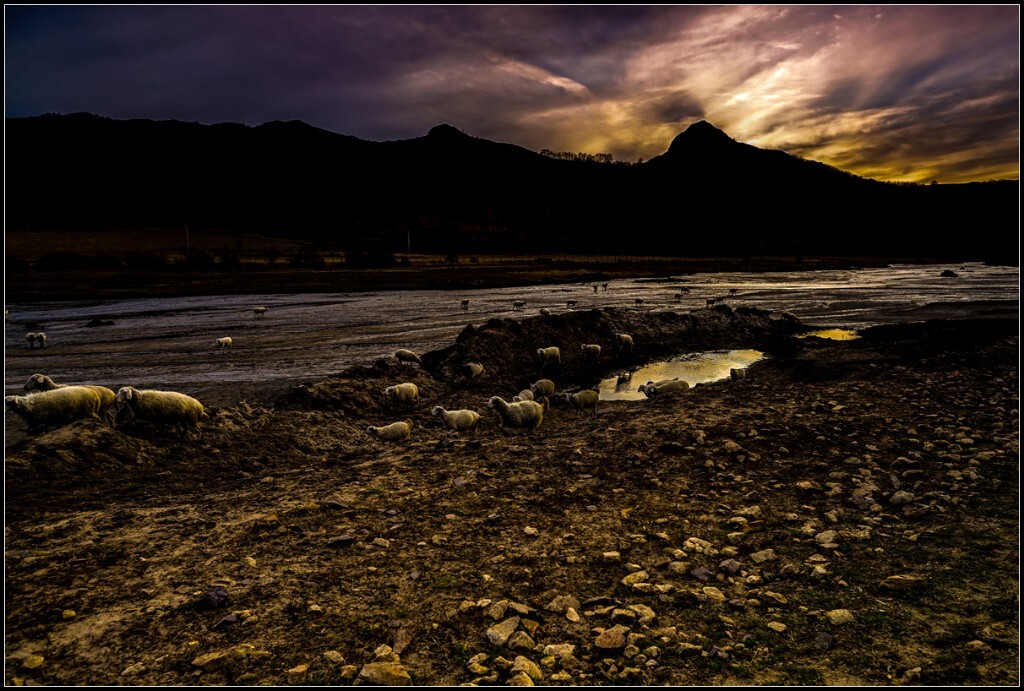 a7r   24mm<br />
索尼