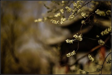 _DSC3022