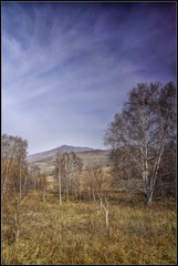 57