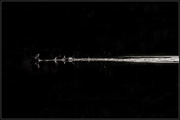 _DSC2832