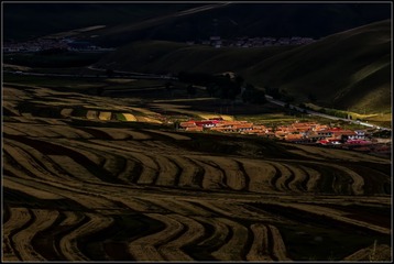 _DSC0051