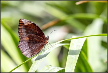 _DSC1474