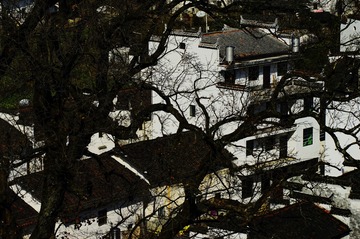 _DSC0928