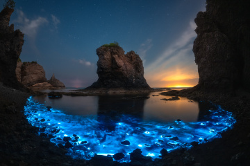 《星落荧湾》