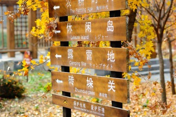 DSC_4304p.jpg