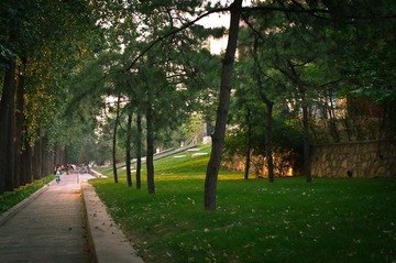 IMGP0004-8