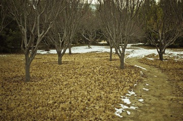 IMGP0213-35.JPG