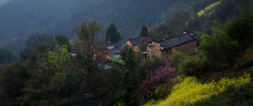 山村春色