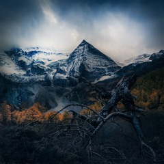幻境