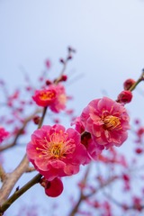 4C34A67C-5D19-45C0-9525-EC3D513644ED/L0/001