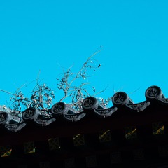 3CD2B88B-0059-45E3-AAE1-A909E03B5740/L0/001