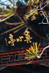 E17C9A2F-A569-4BFF-BCA5-F92EC1F2C96A/L0/001