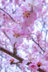 46F9800A-ED62-4B34-BA90-E62384EB45DD/L0/001