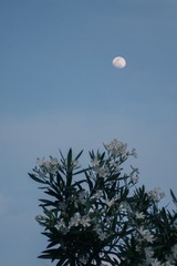08BD9822-4610-4252-9FF0-65BCECE7D7B0/L0/001