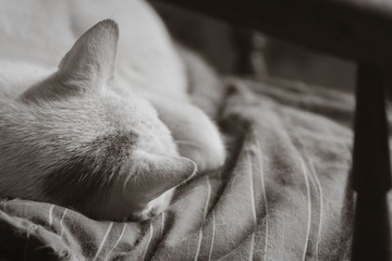 BW_隆昌公寓_OMD003