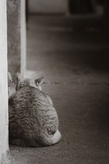 BW_隆昌公寓_OMD014