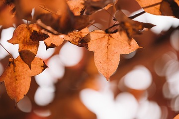 DSC_5764DSC_57642
