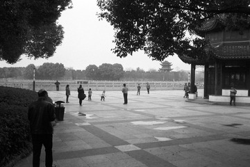 IMG-9000ED-118380