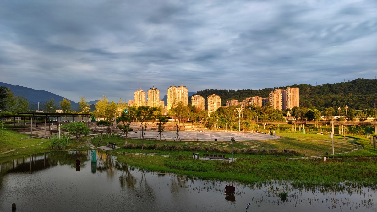 公园晨光手机拍摄