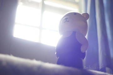 窗边的小熊01