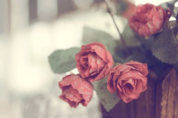 _DSC9259 r 1440
