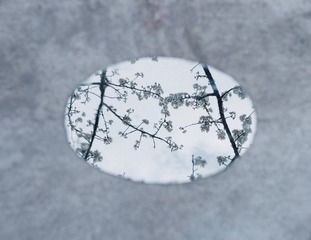 _HEJ3838