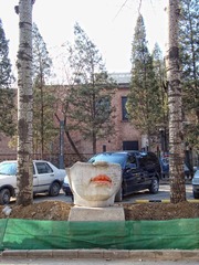 DSC04532.jpg
