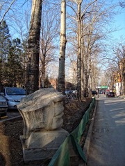 DSC04534.jpg