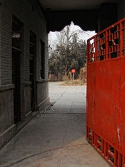 DSC00505.jpg