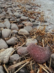 DSC00511.jpg