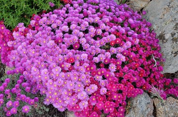 201202241435.jpg