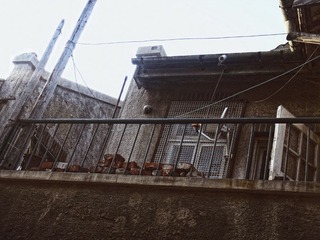 DSC02882.JPG