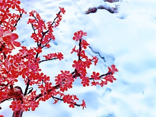 201302092337.jpg