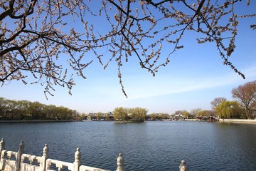 春耕间隙