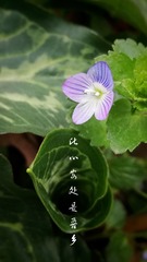 1204131