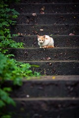 IMG_9457-1