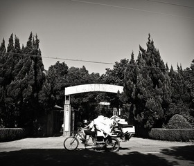IMG_7980.jpg