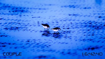 20111009-IMG_0015.jpg