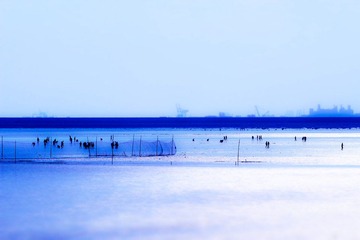 20111009-IMG_9956.jpg
